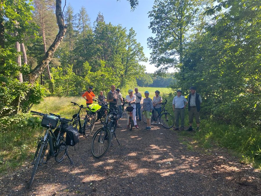 Gruppe von E-Bike-Fahrern auf einem Waldweg
